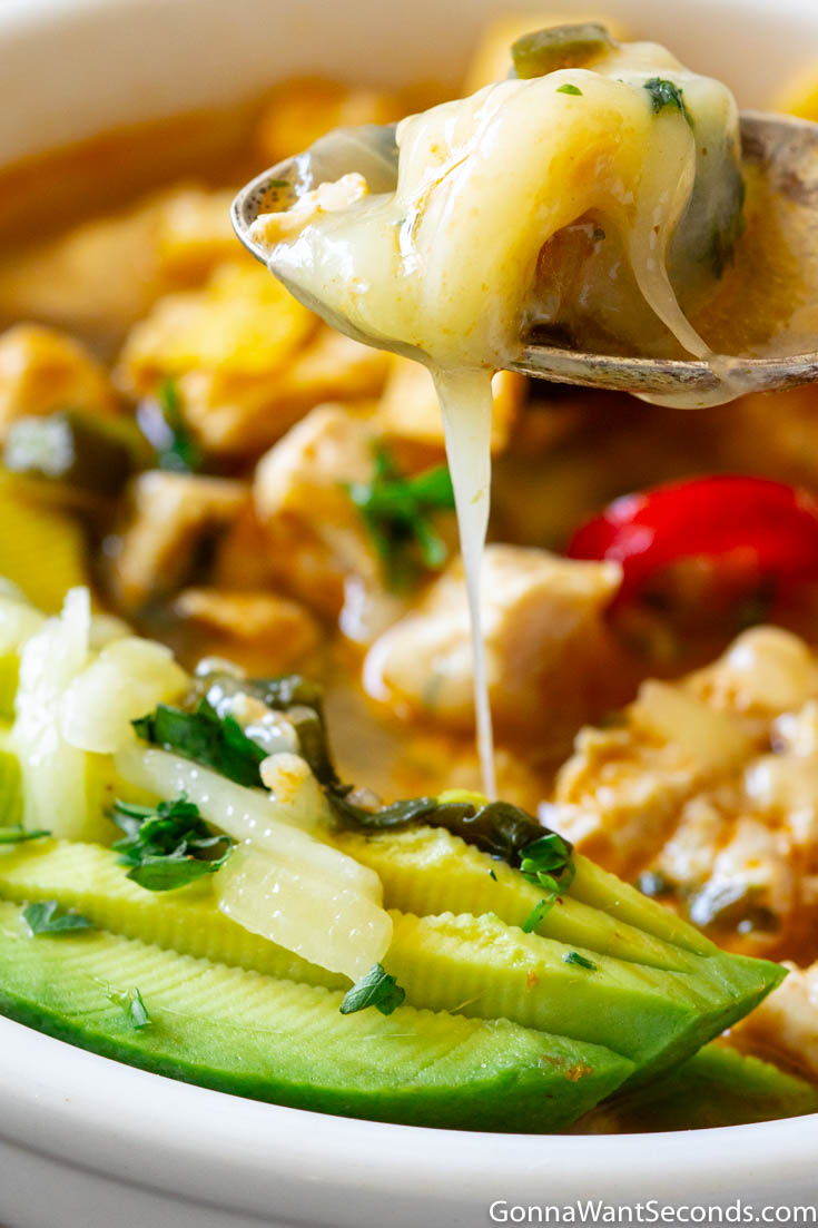  a spoonful of easy tortilla soup with chicken, avocado and tortilla strips