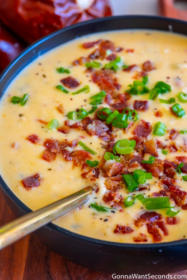 beer cheese soup recipe topped with bacon and green onions in a bowl