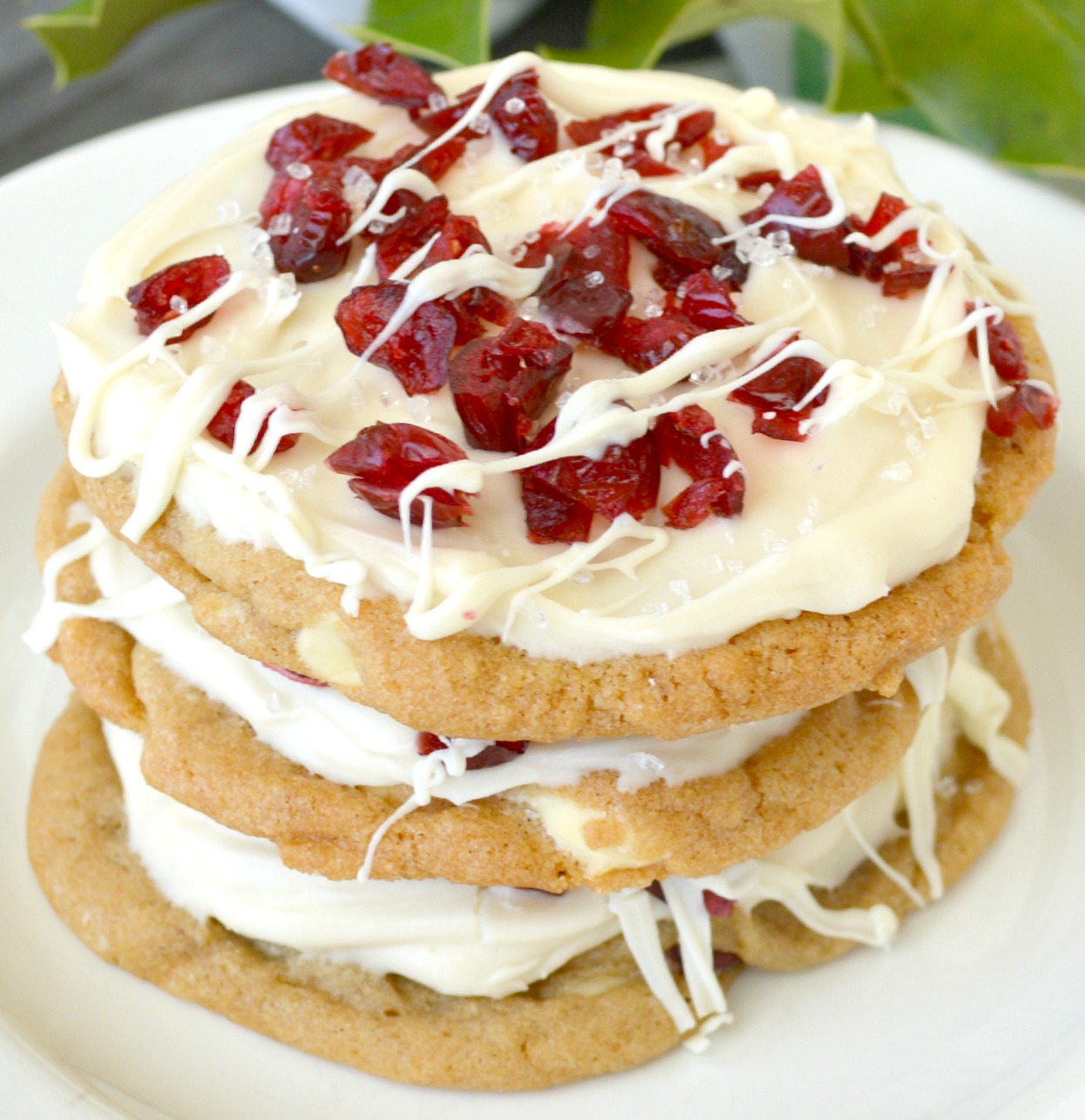 Cranberry-Bliss-Cookies