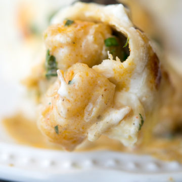 A forkful of Creamy Shrimp Enchiladas, close shot