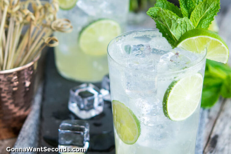 Lime Rickey Recipe Lime Rickey Recipe- {Artisan Mocktail}