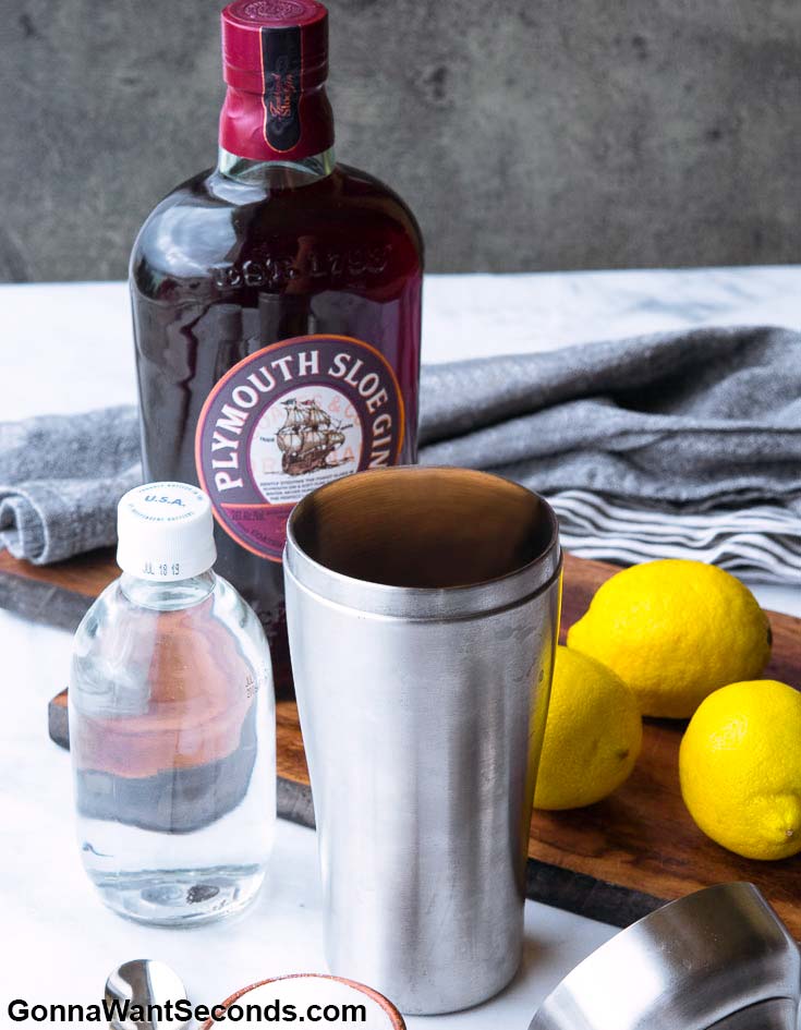 Step By Step How To Make Sloe Gin Fizz