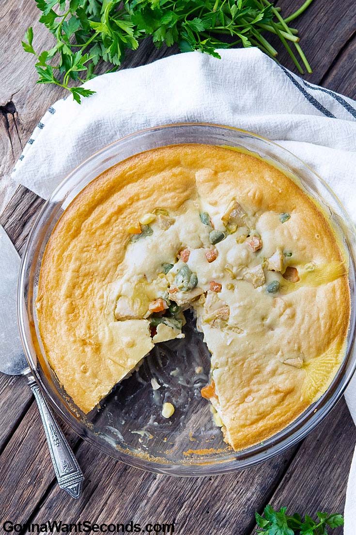 Bisquick Chicken Pot Pie -Easy and Delish - Gonna Want Seconds