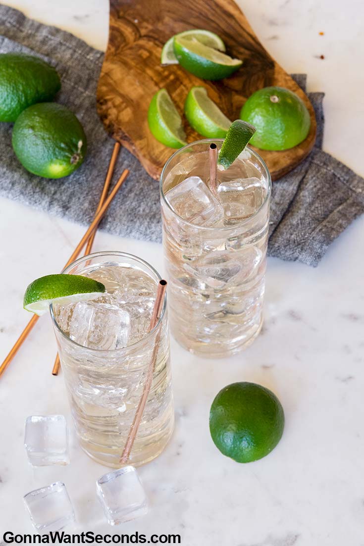 Two glasses of Gin and Ginger Ale with lime wedges