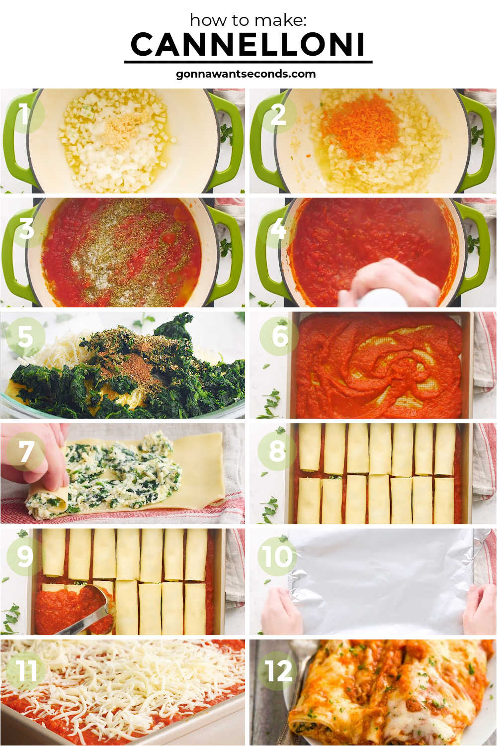 step by step how to make cannelloni