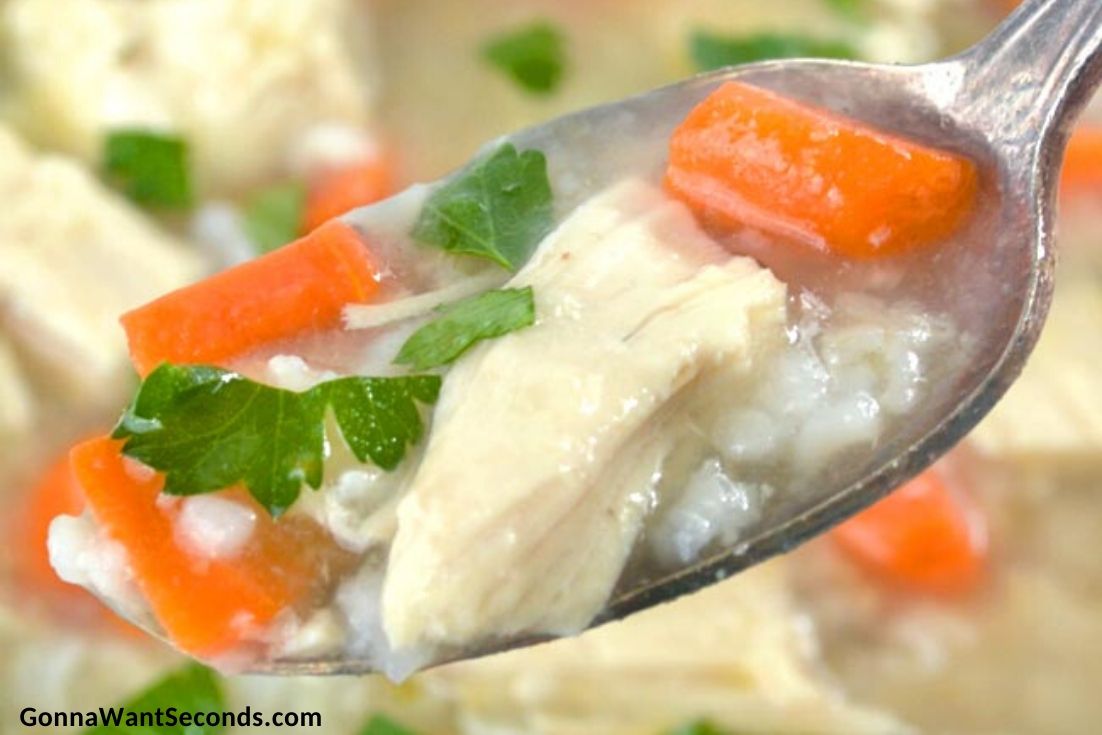 Chicken and Rice Soup on a spoon