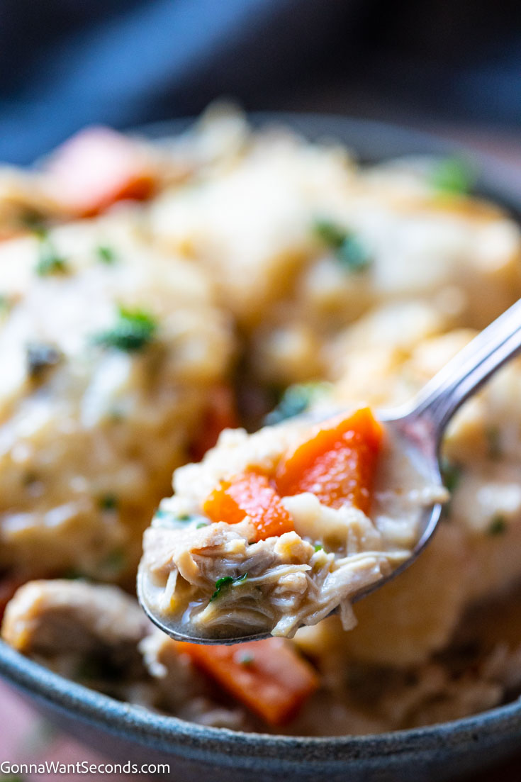 A spoonful of Slow Cooker Chicken and Dumplings