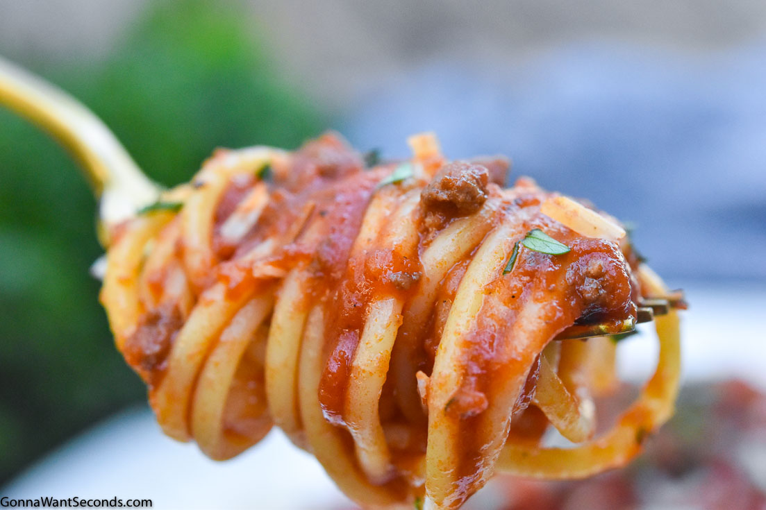 Fork twirling Italian spaghetti sauce with spaghetti pasta