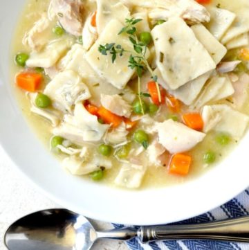 Southern chicken and dumplings in a bowl