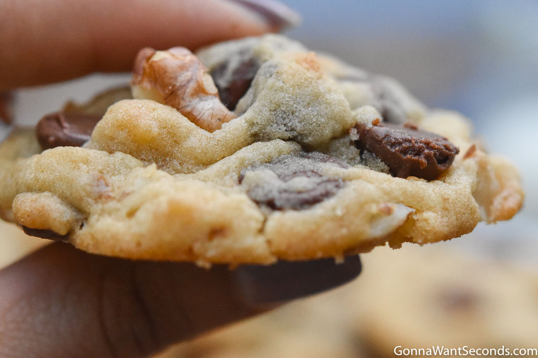 Hand holding Chocolate chip pudding cookies