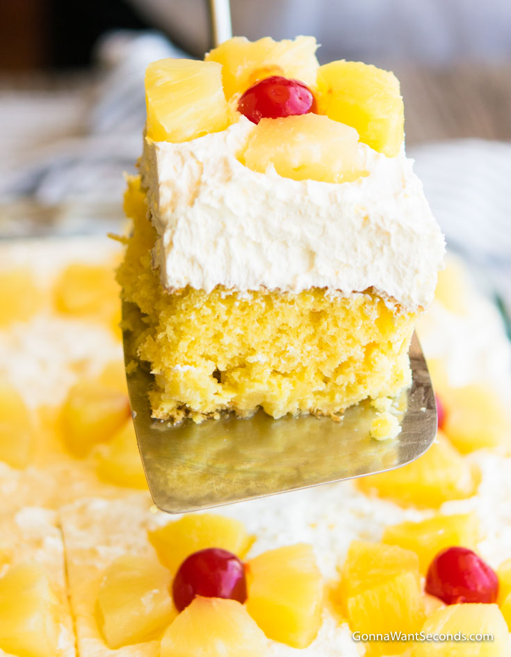 A slice of old fashioned sunshine cake recipe with whipped topping, topped with pineapple and cherry on a serving spatula
