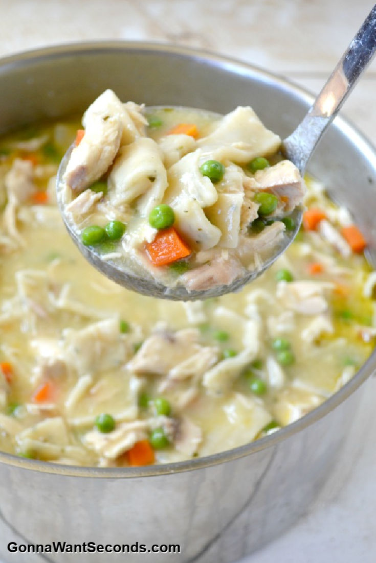 Southern chicken and dumplings is the quintessential comfort food for people of all ages. It’s quite literally love in a bowl. #chickenanddumplings #southernfood Ladle scooping Southern Homemade Chicken And Dumplings from a pot