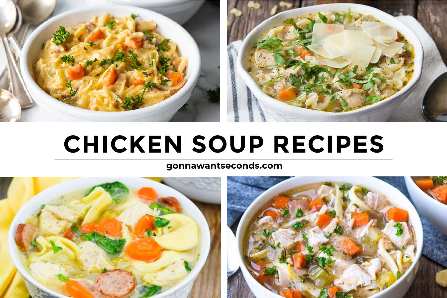 Chicken Soup Recipes montage