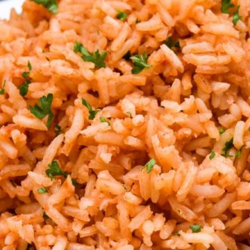 Mexican rice on a plate