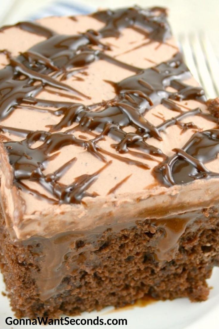 A slice of Chocolate poke cake