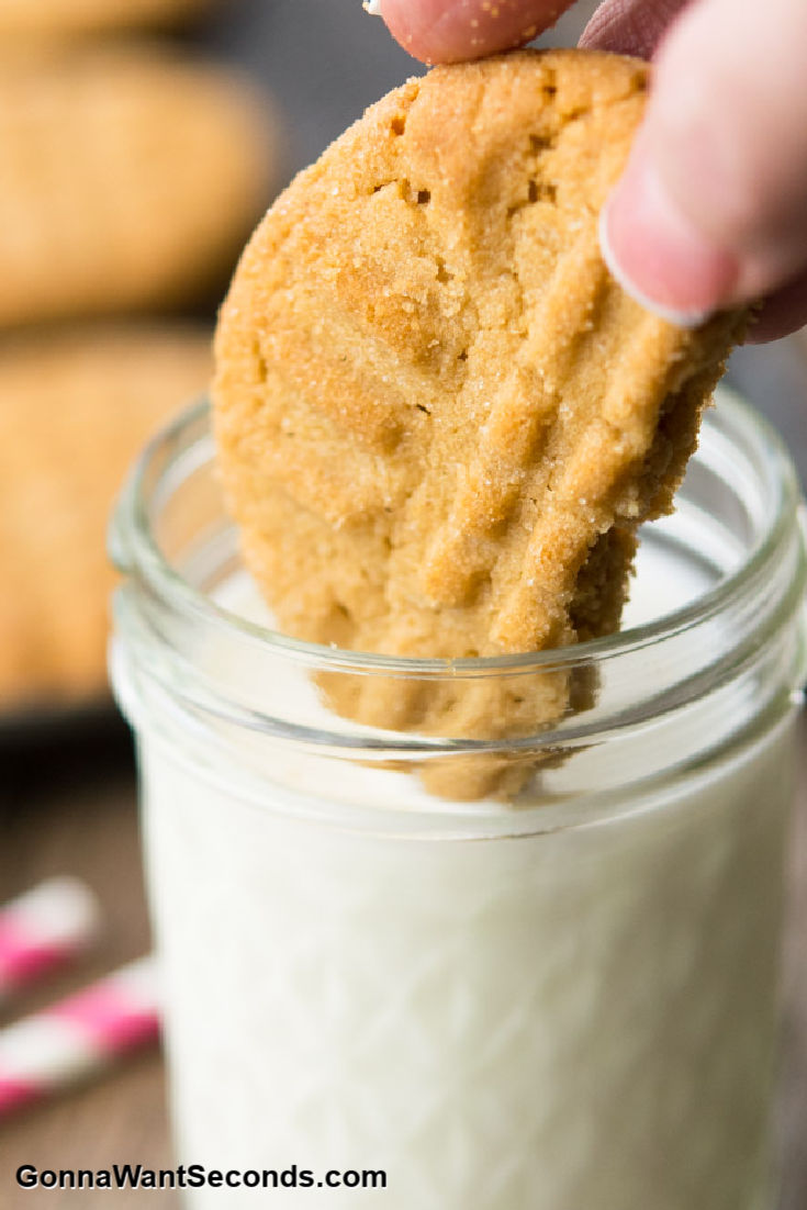 dunking a piece of homemade peanut butter cookies on a glass of milk