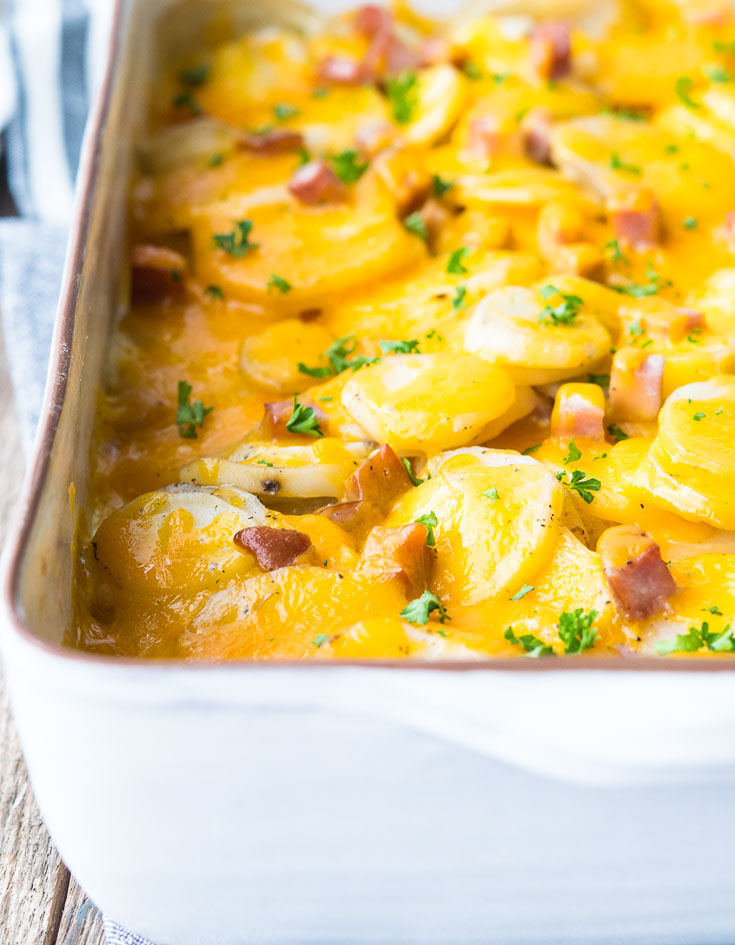 Scalloped potatoes with ham and cheese in a casserole, close up