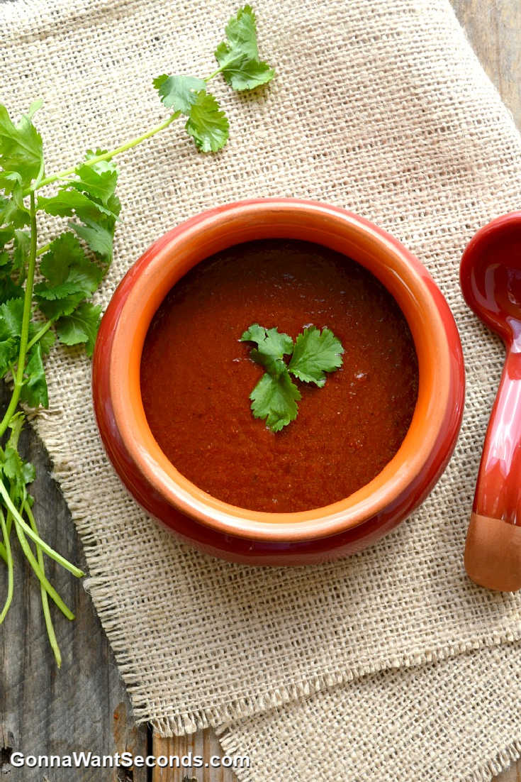 enchilada sauce in a small bowl with a small ladle on the side