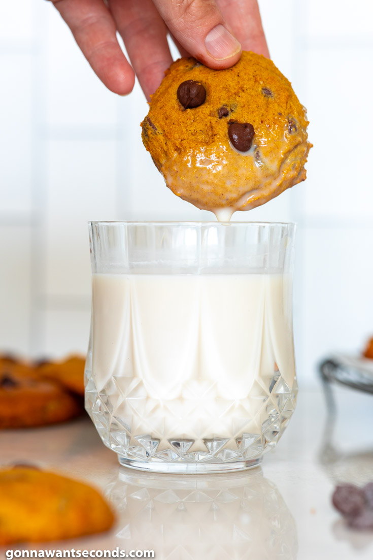 dipping fluffy pumpkin chocolate chip cookies in a glass of milk