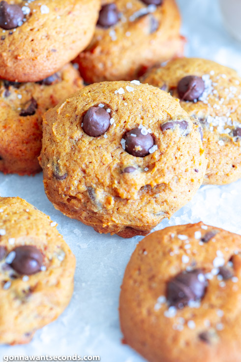 old fashioned pumpkin chocolate chip cookies, close up
