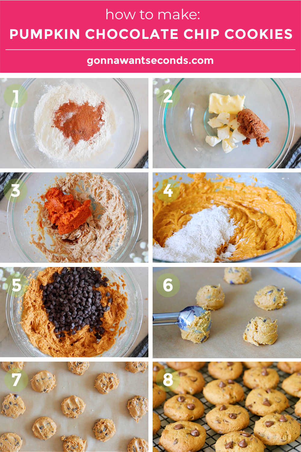 Step by step how to make pumpkin chocolate chip cookies