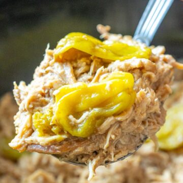 Ladle scooping mississippi chicken