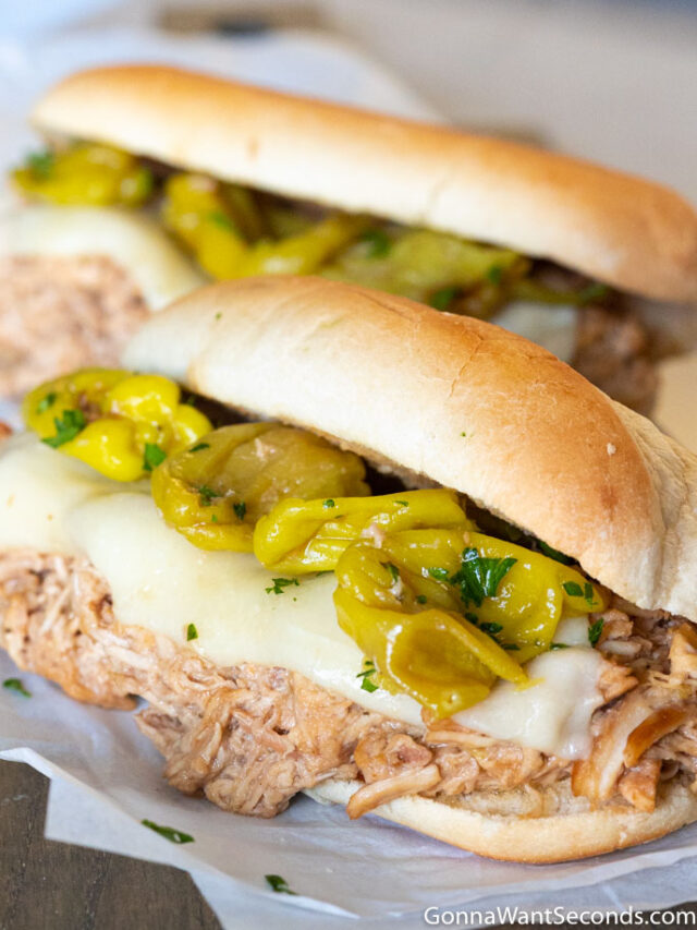 cropped-Mississippi-Chicken-1-1.jpg