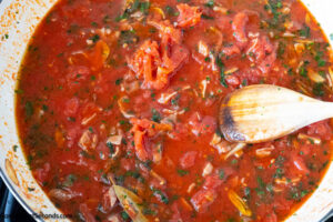 How to make pomodoro sauce with meat, stirring sauce