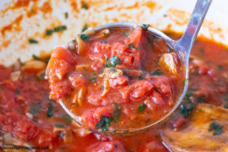 ladle scooping pomodoro sauce for pasta