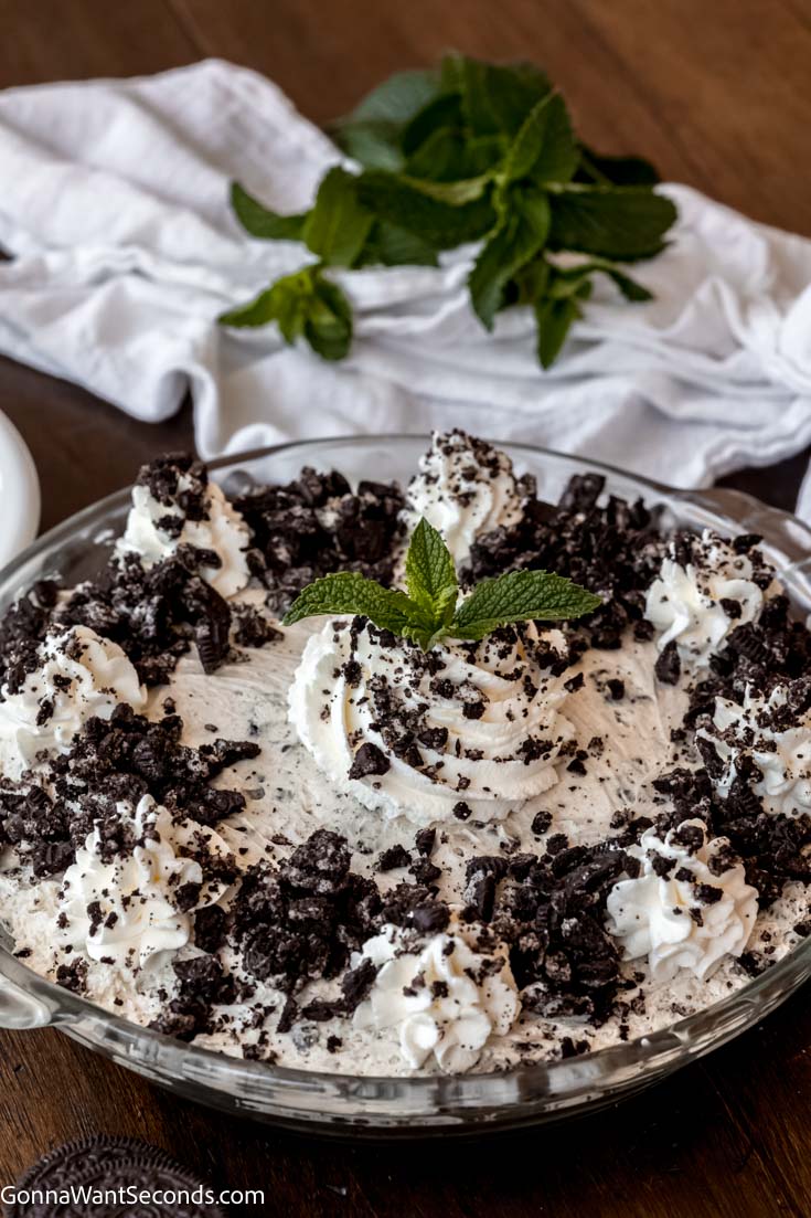 oreo cream pie garnished with mint leaves