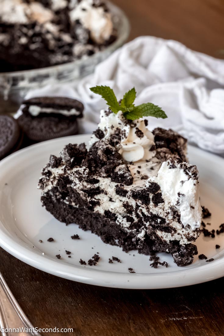 A slice of easy oreo pie garnished with mint leaves