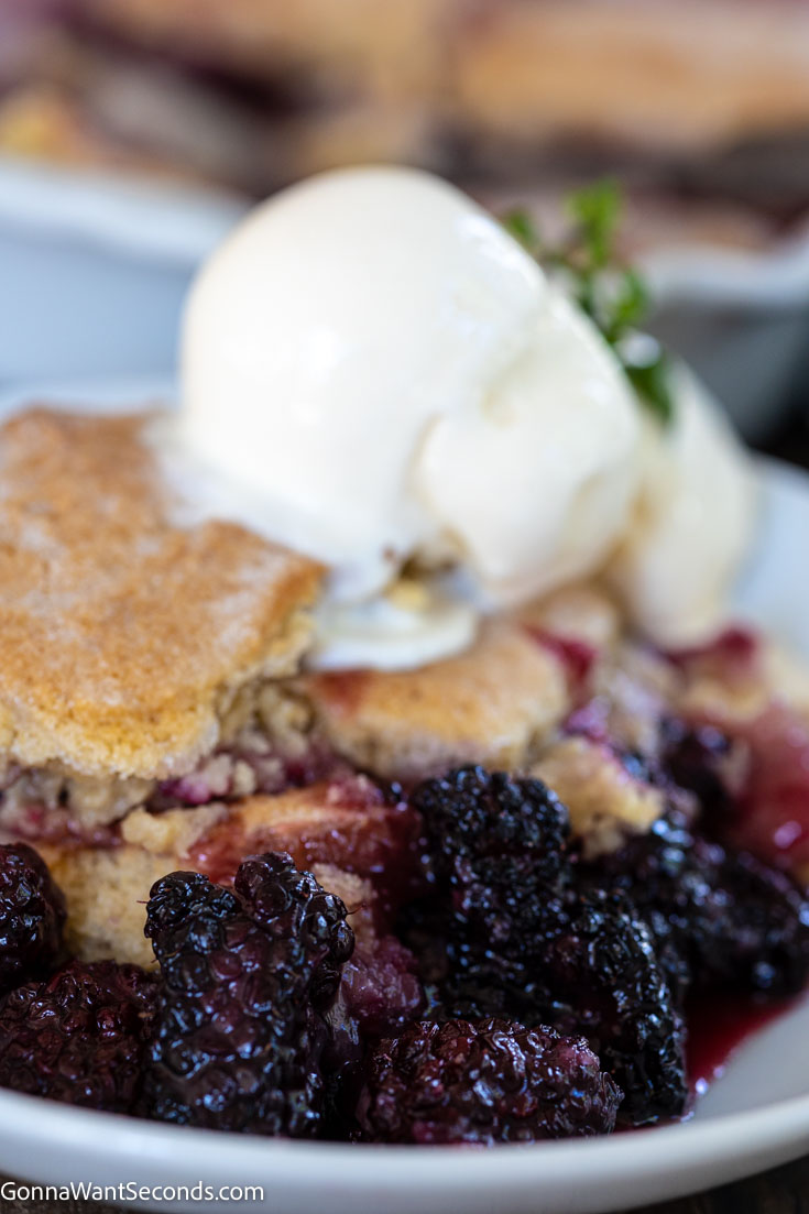 blackberry cobbler with vanilla ice cream on top, on a plate 