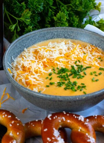 best beer cheese dip in a bowl with pretzels on the side