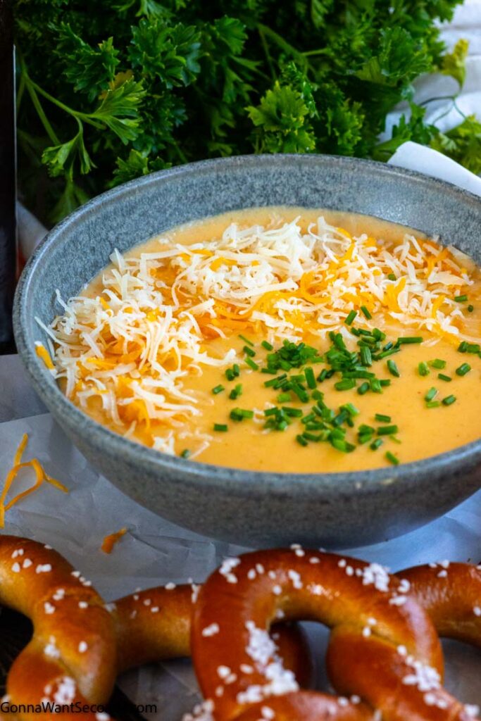 best beer cheese dip in a bowl with pretzels on the side