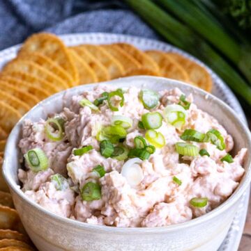 shrimp dip with cream cheese with crackers on the side