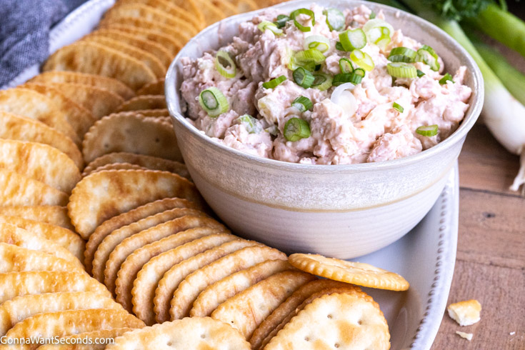 shrimp dip with crackers on the side
