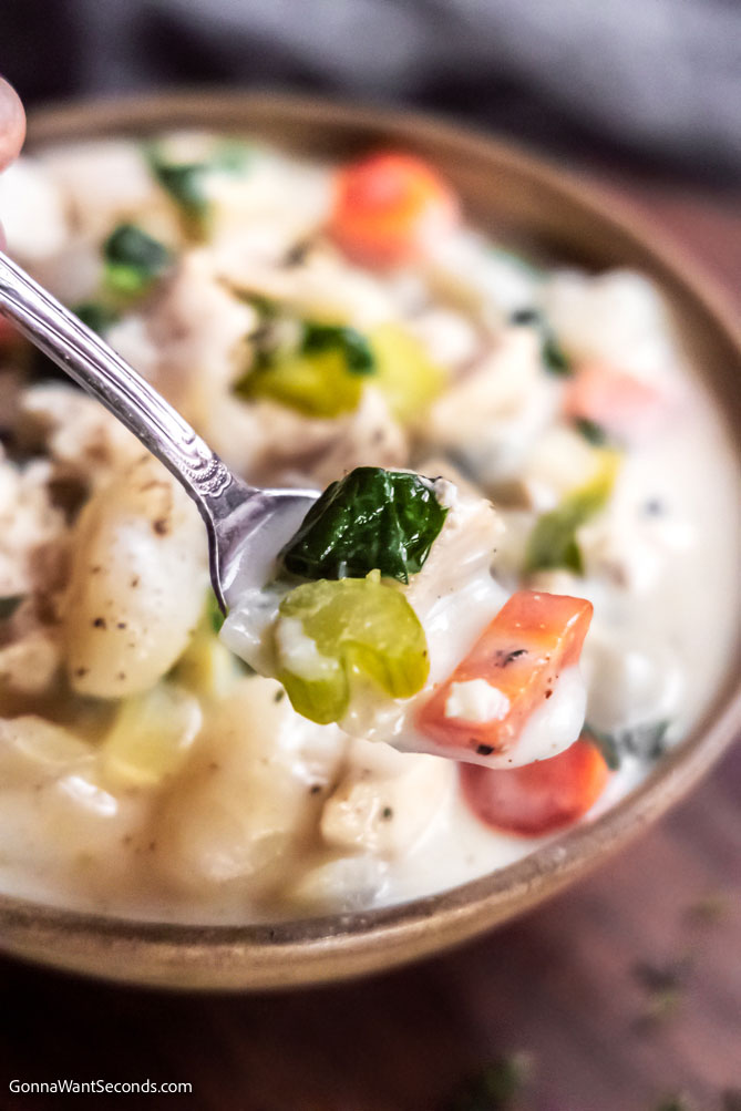 a spoonful of chicken gnocchi soup with spinach