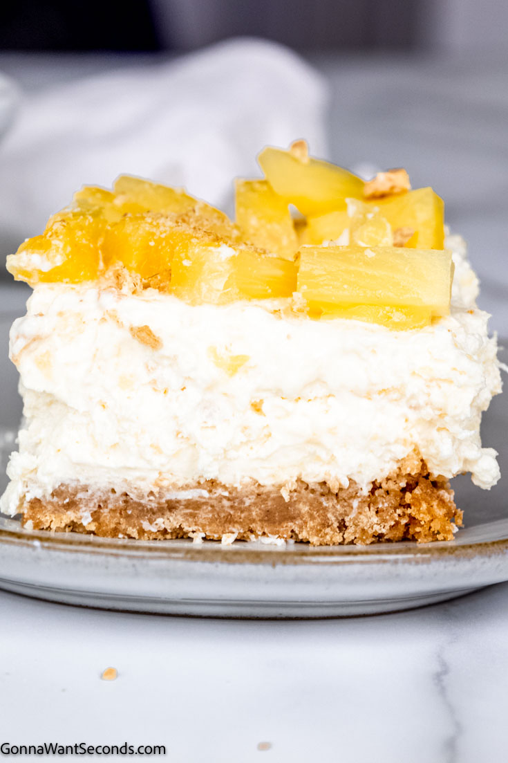 A slice of Pineapple delight with pineapple bits on top