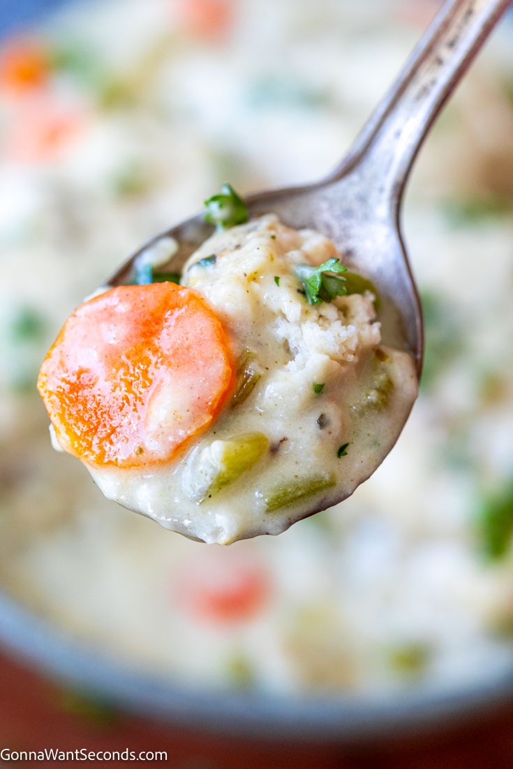chicken and dumplings bisquick on a spoon