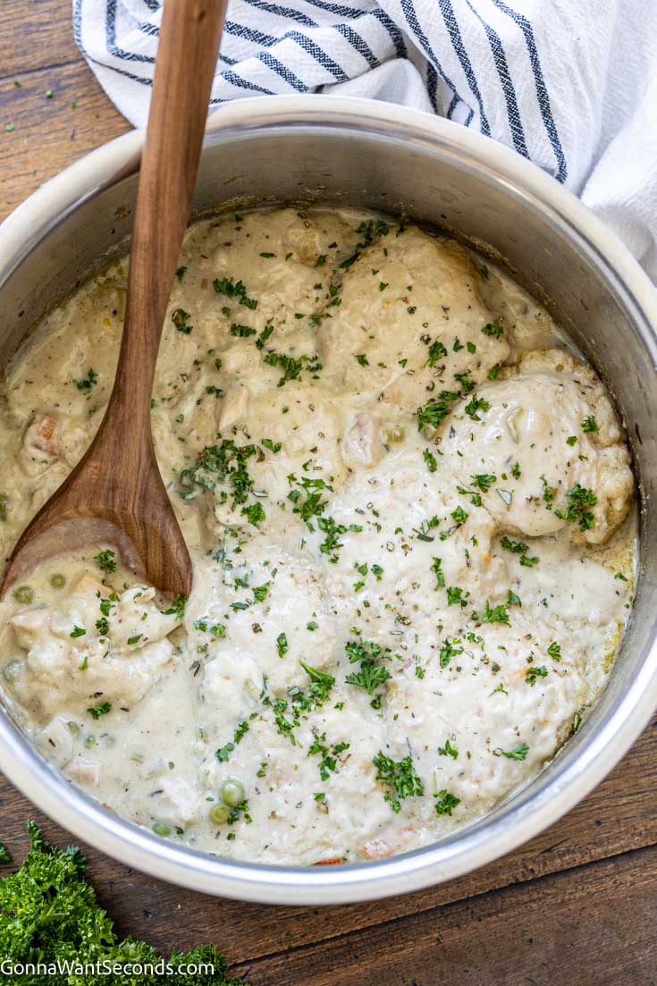 easy Bisquick chicken and dumplings in a pot