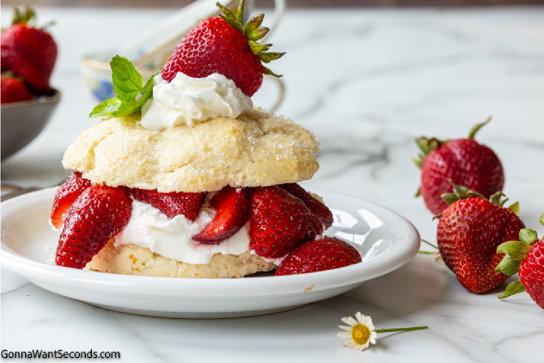 bisquick strawberry shortcake cake topped with whipped cream and fresh strawberries