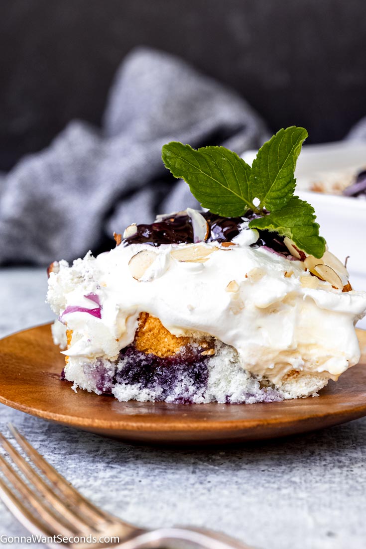 a slice of blueberry heaven on earth cake