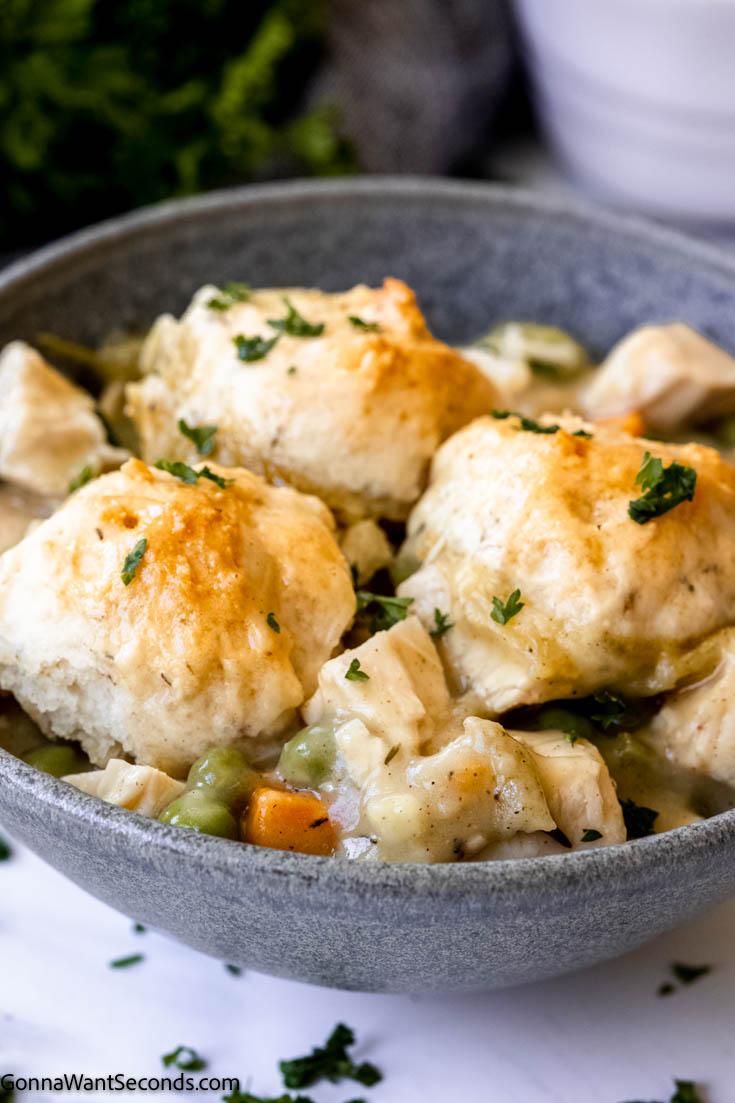 chicken and dumpling recipe in a bowl