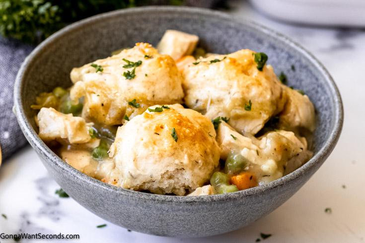 chicken and dumpling casserole with vegetables in a bowl