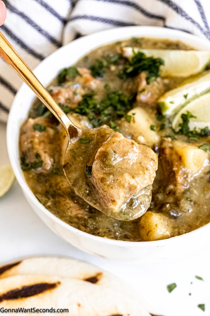 a spoonful of pork green chile stew