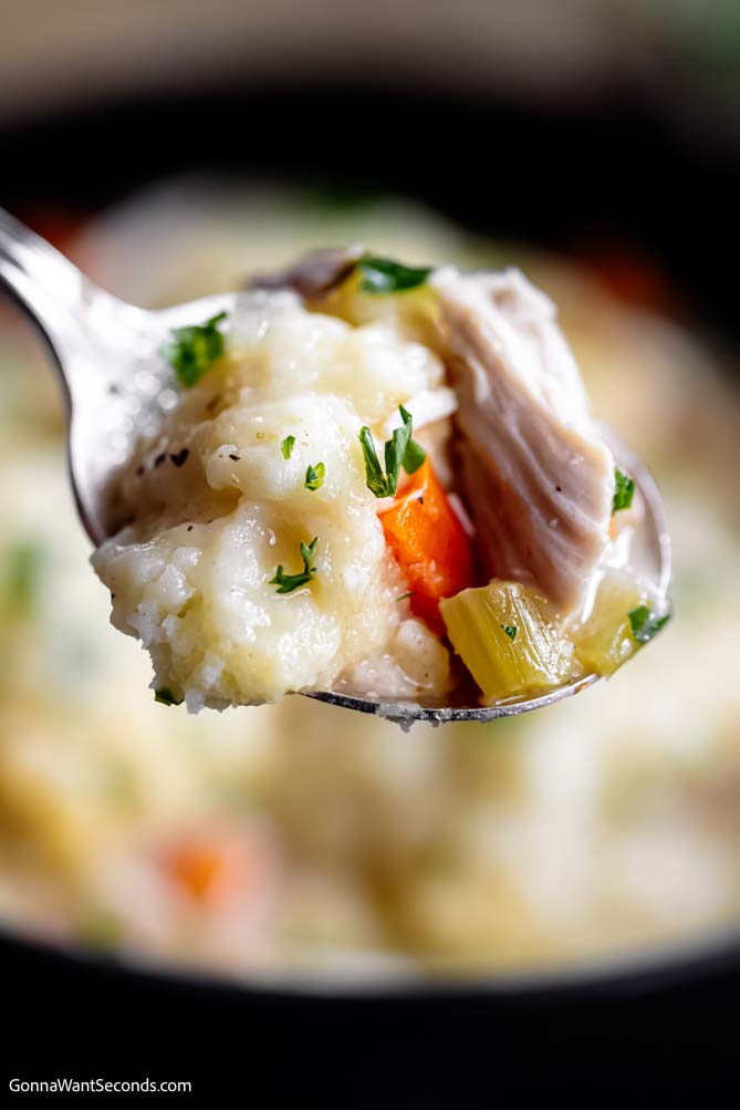 a spoonful of southern style chicken and dumplings