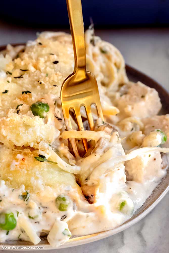 fork twirling turkey tetrazzini with cream cheese on a plate
