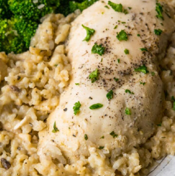 No Peek Chicken on top of rice, with broccoli on the side