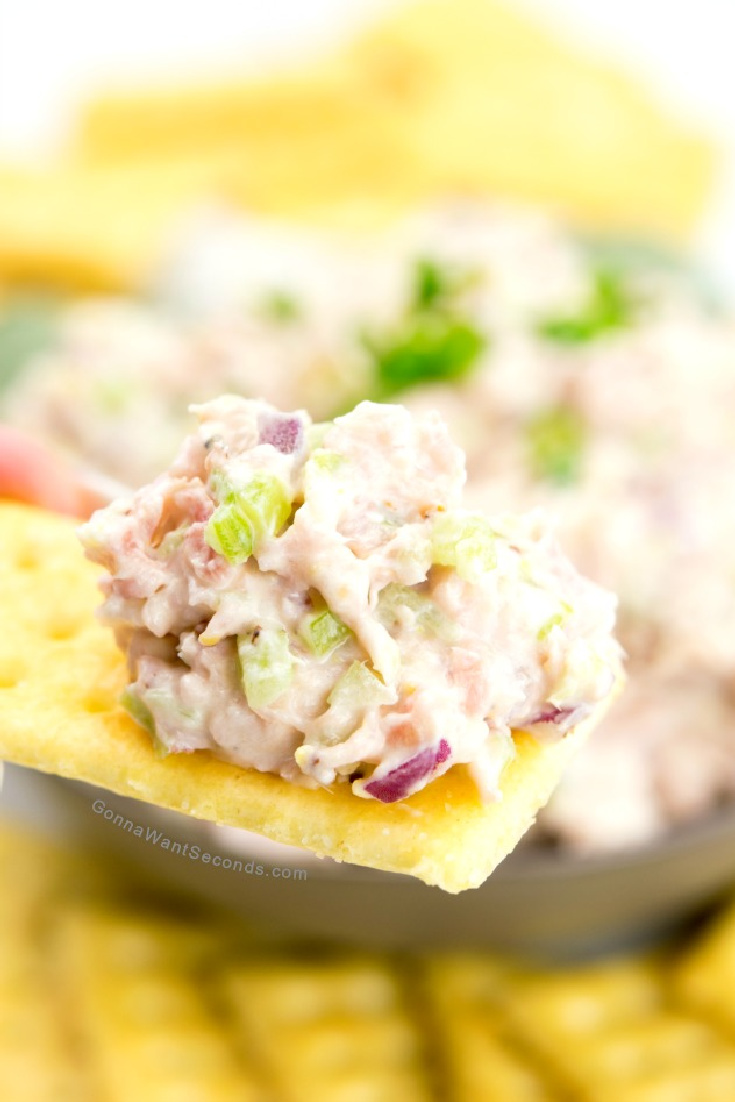 My ham salad is the best thing you can make with leftover ham! Serve it on Hawaiian rolls or on buttery crackers. This one is a must-try! #hamsalad #hamrecipes creamy ham salad on top of a cracker
