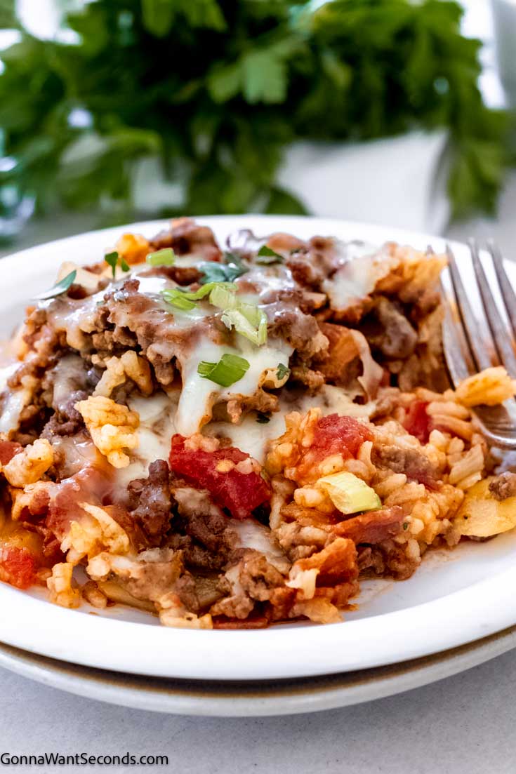 This shipwreck casserole is layered with rice, beef, potatoes, bacon, tomatoes, all covered with a beefed-up tomato soup broth and topped with cheese. #casseroles #shipwreckcasserole shipwreck casserole on a plate